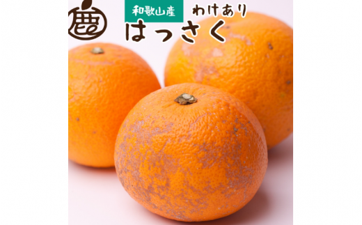 ＜先行予約＞家庭用 はっさく3kg+90g（傷み補償分）【八朔みかん】【わけあり】＜1月より発送＞ ※北海道・沖縄・離島への配送不可 