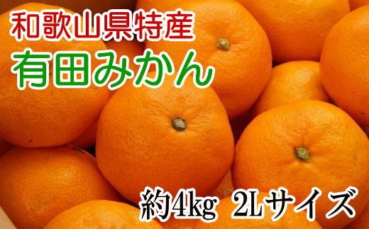 [秀品]和歌山有田みかん約4kg(2Lサイズ) ※2023年11月中旬より順次発送予定（お届け日指定不可）