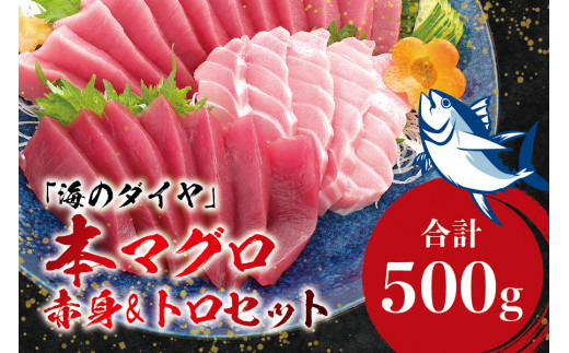 本マグロ（養殖）トロ＆赤身セット 500g 【1ヶ月以内に発送】まぐろ 刺身 鮪 本鮪 クロマグロ 赤身 中とろ 柵