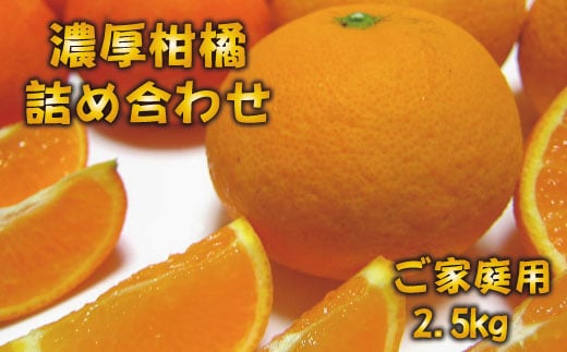 有田育ちの濃厚柑橘詰め合わせセット(ご家庭用)　約2.5kg　※2023年3月下旬～5月下旬順次発送予定