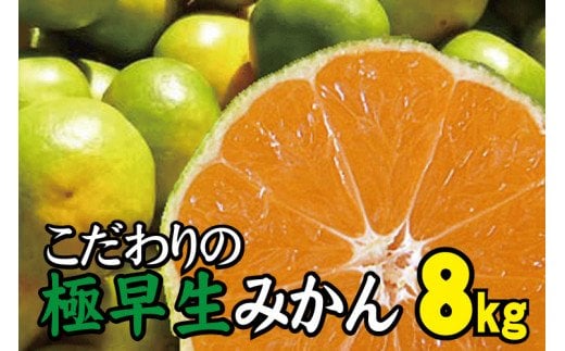 【2024年秋頃発送予約分】【農家直送】こだわりの極早生みかん 約7.5kg【数量限定】 有機質肥料100% サイズ混合 ※2024年9月下旬より順次発送予定（お届け日指定不可）【nuk136B】