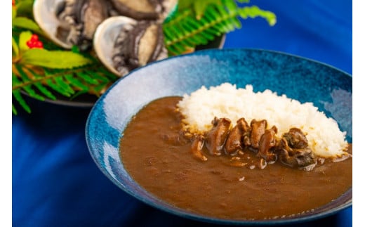 和歌山のアワビ屋さんがつくったあわびカレー 【170g×3袋】＜日付指定OK＞ 