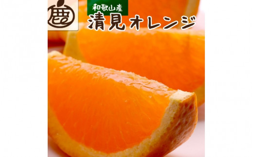 ＜2月より発送＞厳選 清見オレンジ2.5kg+75g（傷み補償分）【光センサー食頃出荷】【樹上完熟きよみオレンジ・清見タンゴール・清美】 ※北海道・沖縄・離島への配送不可