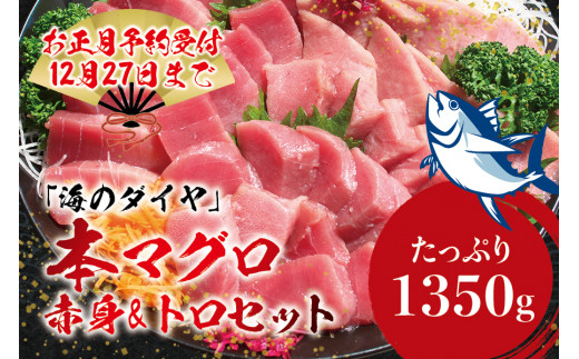 本マグロ（養殖）トロ＆赤身セット 1350g 【12月発送】まぐろ 刺身 鮪 本鮪 クロマグロ 赤身 中とろ  大容量