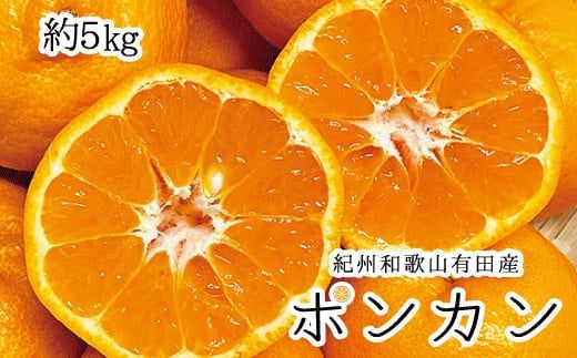 紀州和歌山有田産ポンカン 5kg　※2025年2月上旬頃～2月中旬頃に順次発送（お届け日指定不可）