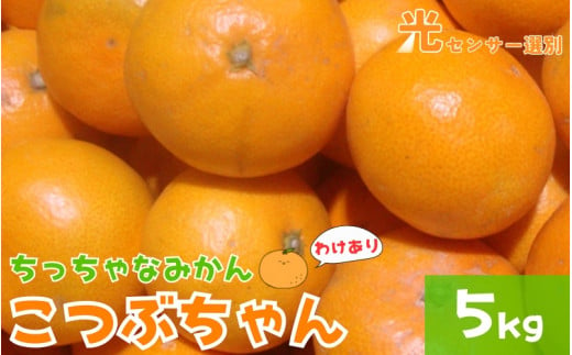 【訳あり】3S ちっちゃな有田みかん 5kg ※2024年11月中旬から順次発送予定（お届け日指定不可）※北海道・沖縄・離島への配送不可 訳ありみかん みかん ミカン 蜜柑 柑橘 フルーツ 果物 くだもの 温州みかん 柑橘 有田【nuk163】