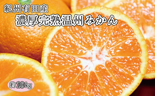 完熟有田みかん　10kg　※2024年11月下旬頃～2025年1月下旬頃に順次発送(お届け日指定不可)