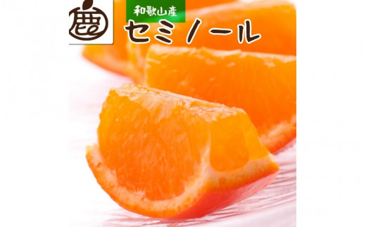 ＜4月より発送＞厳選セミノールオレンジ3kg+90g（傷み補償分）【春みかん】【有田産】【光センサー食べ頃出荷】 ※北海道・沖縄・離島への配送不可