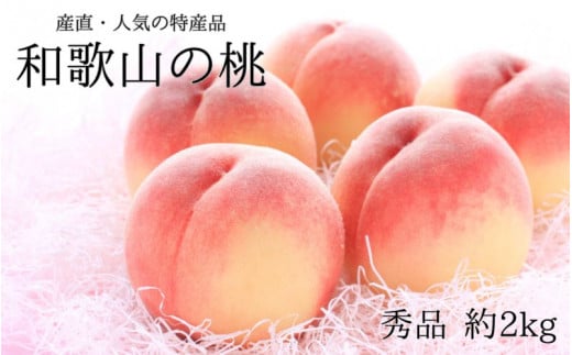 【産直・人気の特産品】和歌山の桃 約2kg 秀品 　※2025年6月下旬～8月上旬頃順次発送 / もも モモ フルーツ 果物 くだもの 人気 甘い 和歌山【tec910A】