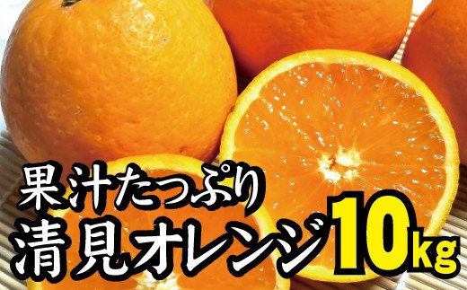 【農家直送】果汁たっぷり！清見オレンジ 約10kg  有機質肥料100%　 サイズ混合　※2024年3月上旬より順次発送予定（お届け日指定不可）