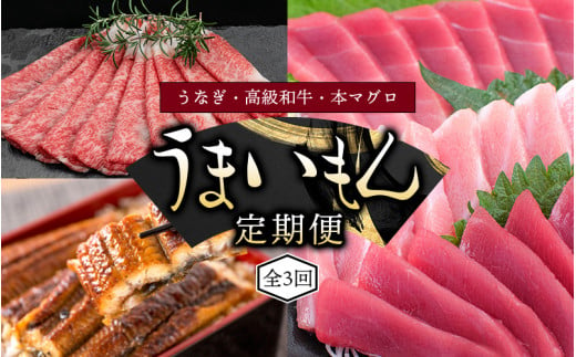 【3ヶ月定期便】和歌山うまいもん定期便 国産うなぎ･高級和牛･本マグロの人気返礼品を3回お届け！/鰻 熊野牛 鮪 まぐろ 