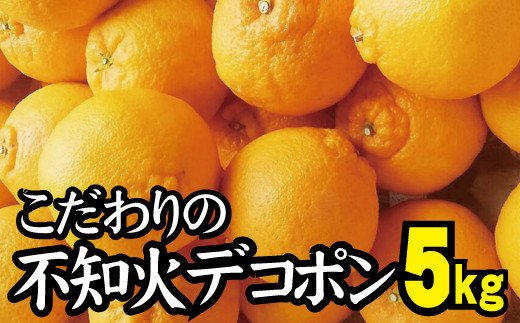 【農家直送】こだわりのデコポン不知火 約5kg  有機質肥料100%　※2024年2月中旬より順次発送予定（お届け日指定不可）