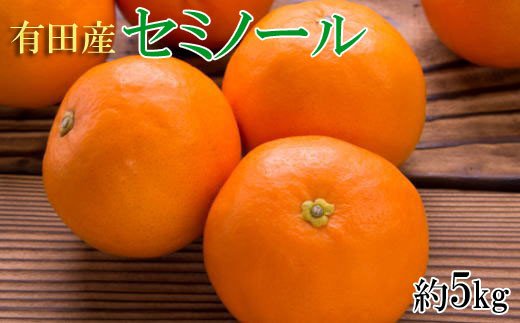 和歌山有田産セミノールオレンジ約5kg(サイズおまかせ　秀品) 　※2024年4月中旬頃～4月下旬に順次発送予定（お届け日指定不可） 