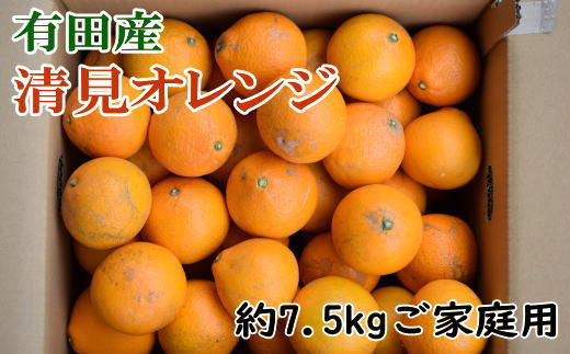 【訳ありご家庭用】有田産清見オレンジ約7.5kg（サイズおまかせまたは混合）