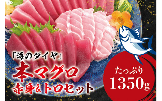 本マグロ（養殖）トロ＆赤身セット 1,350g まぐろ 刺身 鮪 本鮪 クロマグロ 赤身 中とろ  大容量 まぐろたたき まぐろ丼