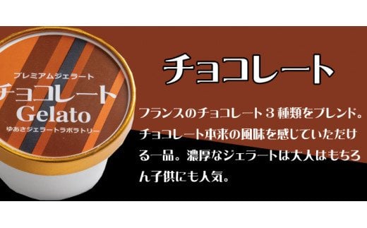 プレミアムジェラート チョコレート12個セット アイスクリームセット 100mlカップ ゆあさジェラートラボラトリー