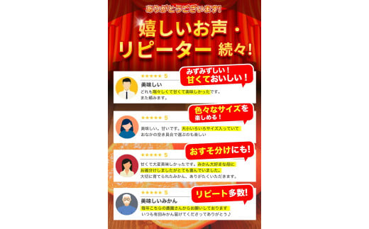 【2024年12月発送予約分】＼光センサー選別／ 【農家直送】【家庭用】こだわりの有田みかん 約6kg＋250g(傷み補償分) 先行予約 有機質肥料100% サイズ混合 【12月発送】みかん ミカン 有田みかん 温州みかん 柑橘 有田 和歌山 ※北海道・沖縄・離島配送不可 【nuk102-2】