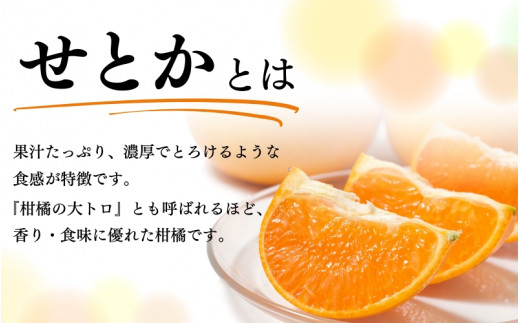 とろける食感！ジューシー柑橘　せとか　約3kg【予約】　※2025年2月末頃～2025年3月中旬頃発送(お届け日指定不可)