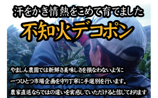 【農家直送】こだわりのデコポン不知火 約5kg  有機質肥料100%　※2024年2月中旬より順次発送予定（お届け日指定不可）