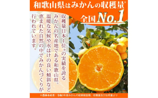 	紀州和歌山まるごとみかんゼリー 145g×12個（6個入×2箱） ※2024年10月上旬頃より発送予定 / みかん 蜜柑 フルーツ 果物 くだもの ゼリー