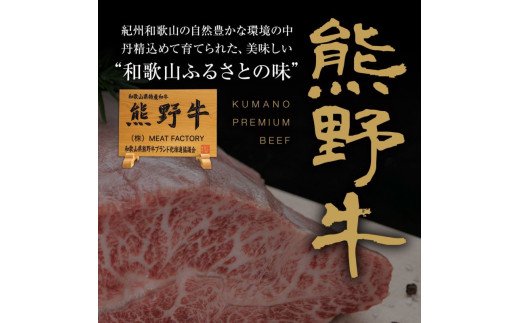 特選黒毛和牛 熊野牛 赤身ブロック　約500g