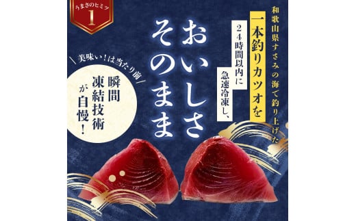 すさみ町産 秋の戻り鰹のたたき 約500g～600g / 鰹 かつお かつおのたたき 刺身 タタキ 天然 初鰹 冷凍 真空 小分け 個包装 加工品 魚 和歌山県 すさみ町【scp118】