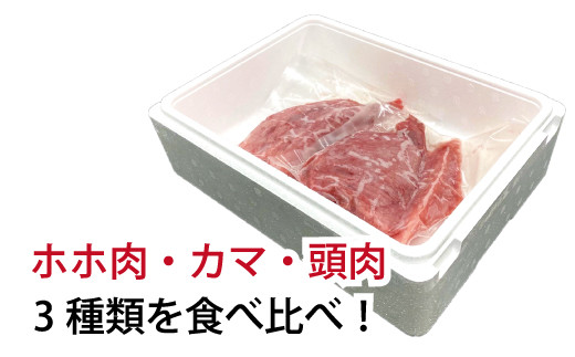 【訳あり】南紀本マグロ 希少部位三点セット約600g 本鮪 本まぐろ 鮪 マグロ まぐろ 訳アリ