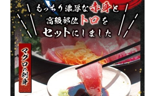 本マグロ（養殖）トロ＆赤身セット 500g 【1ヶ月以内に発送】まぐろ 刺身 鮪 本鮪 クロマグロ 赤身 中とろ 柵