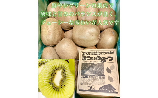 紀州かつらぎ山のキウイフルーツ約３ｋｇ ※2025年1月中旬～2月上旬頃に順次発送予定(お届け日指定不可) / キウイ キウイフルーツ フルーツ 果物 くだもの