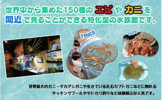 ＼バックヤードツアー付き／　エビとカニの水族館 ３名様チケット