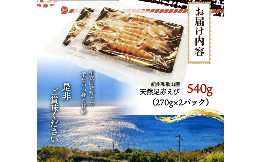 紀州和歌山産天然足赤えび540g（270g×2パック）化粧箱入 ※2024年11月上旬～2025年2月下旬頃順次発送予定（お届け日指定不可）／海老 エビ えび クマエビ 足赤 天然 おかず