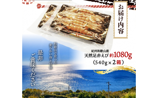 紀州和歌山産天然足赤えび540g×2箱（270g×4パック）化粧箱入 ※2024年11月上旬～2025年2月下旬頃順次発送予定（お届け日指定不可）／海老 エビ えび クマエビ 足赤 天然 おかず