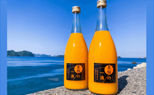 【無添加】田村みかんの新鮮100％ジュース「至極の一滴」720ml×2本入り