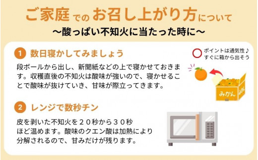 【農家直送】こだわりのデコポン不知火 約5kg  有機質肥料100%　※2024年2月中旬より順次発送予定（お届け日指定不可）