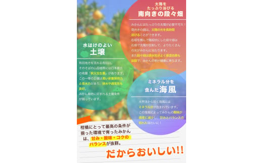 【2024年12月発送予約分】＼光センサー選別／ 【農家直送】【家庭用】こだわりの有田みかん 約6kg＋250g(傷み補償分) 先行予約 有機質肥料100% サイズ混合 【12月発送】みかん ミカン 有田みかん 温州みかん 柑橘 有田 和歌山 ※北海道・沖縄・離島配送不可 【nuk102-2】