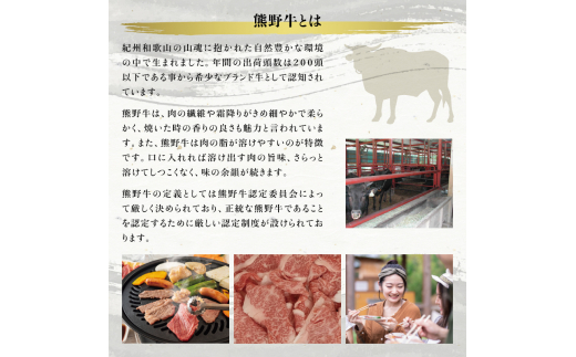 希少和牛 上焼肉 約500g ＜冷蔵＞ 焼肉 牛肉 