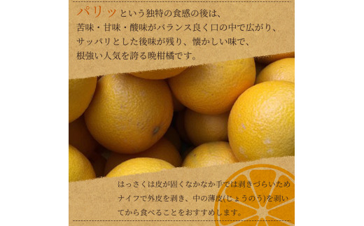 紀州和歌山産 八朔（はっさく） 約10kg ※2025年2月初旬～下旬頃に順次発送 ※日付指定不可 八朔 はっさく 柑橘 果物 くだもの フルーツ