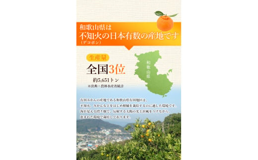 ＜先行予約＞家庭用 不知火 1.5kg+45g（傷み補償分）【デコポンと同品種・人気の春みかん】【訳あり】＜2月より発送＞ ※北海道・沖縄・離島への配送不可 フルーツ 果物 くだもの 柑橘 和歌山【ikd161A】