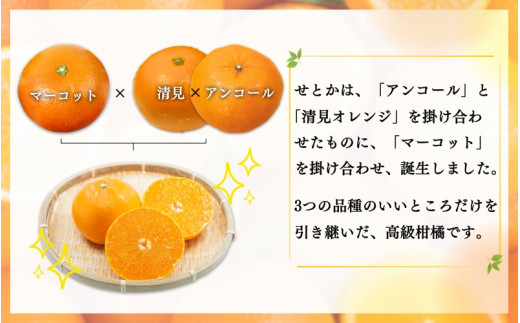 【ご家庭用訳あり】紀州和歌山産　せとか　約5kg　【先行予約】【みかん】 ※2025年2月上旬頃～2025年3月中旬頃順次発送予定(お届け日指定不可) 