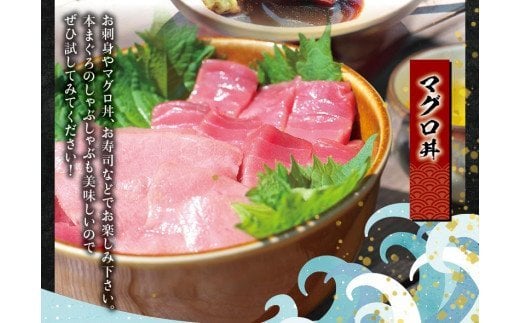 本マグロ（養殖）トロ＆赤身セット 500g 【1ヶ月以内に発送】まぐろ 刺身 鮪 本鮪 クロマグロ 赤身 中とろ 柵