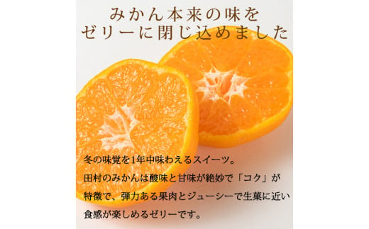 	紀州和歌山まるごとみかんゼリー 145g×12個（6個入×2箱） ※2024年10月上旬頃より発送予定 / みかん 蜜柑 フルーツ 果物 くだもの ゼリー