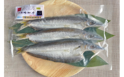 至福の旨味！カマスの干物9枚セット（1パック3枚入×3）/ ひもの かます 詰め合わせ 魚 和歌山すさみ町加工