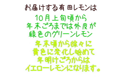 紀州和歌山 ご家庭用 有田レモン 約1.5kg【防腐剤・ワックス不使用】【農家直送】【訳あり】 ※着日指定不可 ※10月中旬～2月下旬頃に順次発送