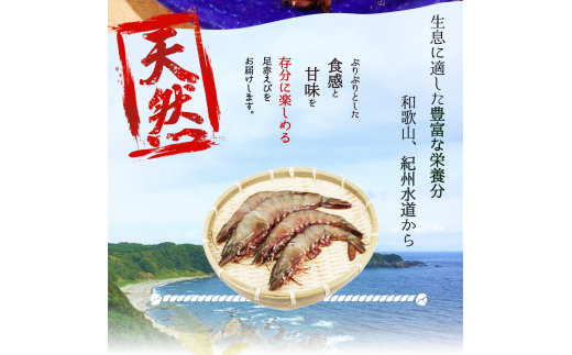 紀州和歌山産天然足赤えび540g（270g×2パック）化粧箱入 ※2024年11月上旬～2025年2月下旬頃順次発送予定（お届け日指定不可）／海老 エビ えび クマエビ 足赤 天然 おかず