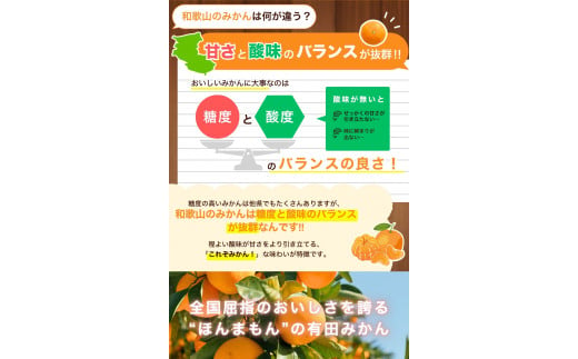 【2024年12月発送予約分】＼光センサー選別／ 【農家直送】【家庭用】こだわりの有田みかん 約6kg＋250g(傷み補償分) 先行予約 有機質肥料100% サイズ混合 【12月発送】みかん ミカン 有田みかん 温州みかん 柑橘 有田 和歌山 ※北海道・沖縄・離島配送不可 【nuk102-2】