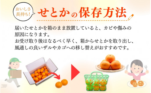 とろける食感！ジューシー柑橘　せとか　約3kg【予約】　※2025年2月末頃～2025年3月中旬頃発送(お届け日指定不可)