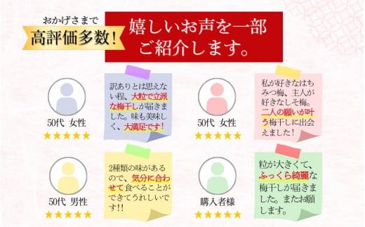 紀州南高梅 大粒 食べ比べセット 1㎏ (はちみつ500g・しそ漬500g) 塩分約8% 無選別 ご家庭用 訳あり 梅 梅干 梅干し うめ ウメ ハチミツ シソ 小分け すさみ町 【khs122】