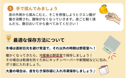 家庭用　不知火3kg+90g（傷み補償分）【デコポンと同品種】【わけあり・訳あり】【しらぬひみかん・しらぬい】【光センサー選別】/ みかん 不知火 デコポン 和歌山 フルーツ 果物 くだもの 柑橘 【ikd053B】