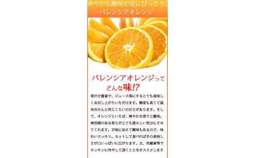 秀品　希少な国産バレンシアオレンジ　2.5kg　※2025年6月下旬頃～2025年7月上旬頃順次発送（お届け日指定不可）【uot752】