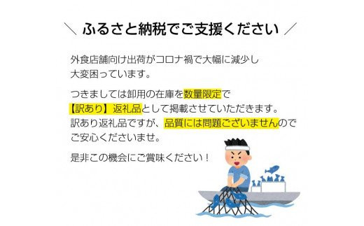 【訳あり】南紀本マグロ 希少部位三点セット約600g 本鮪 本まぐろ 鮪 マグロ まぐろ 訳アリ